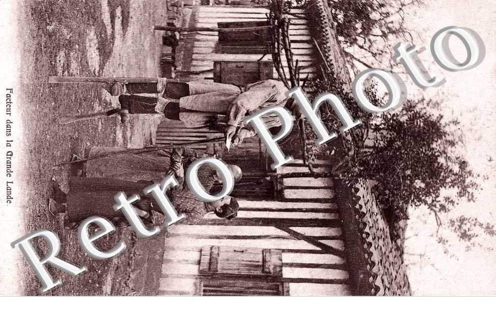 Facteur dans la grande Lande