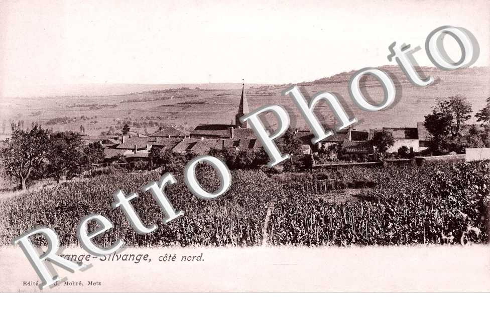 vue generale, cote nord
