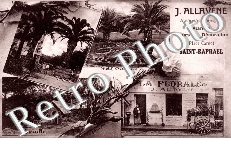 Place Carnot, J. Allavene, Horticulteur, Paysagiste, Saint Raphael