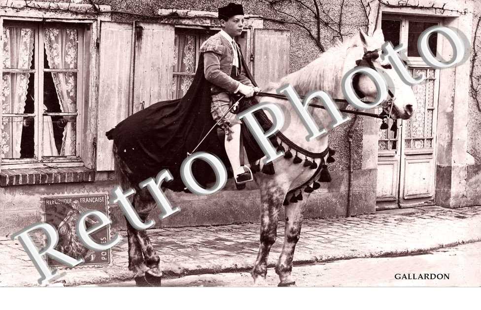 (cheval, costume)