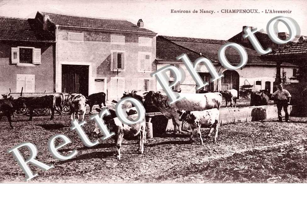 l'abreuvoir