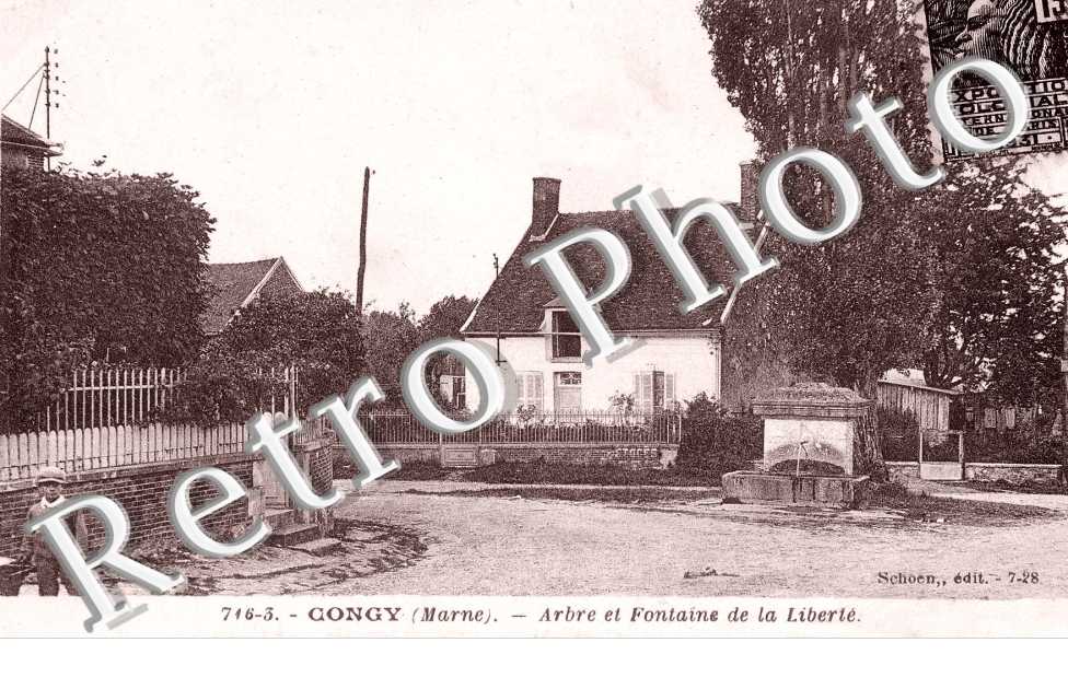 Arbre et fontaine de la liberte