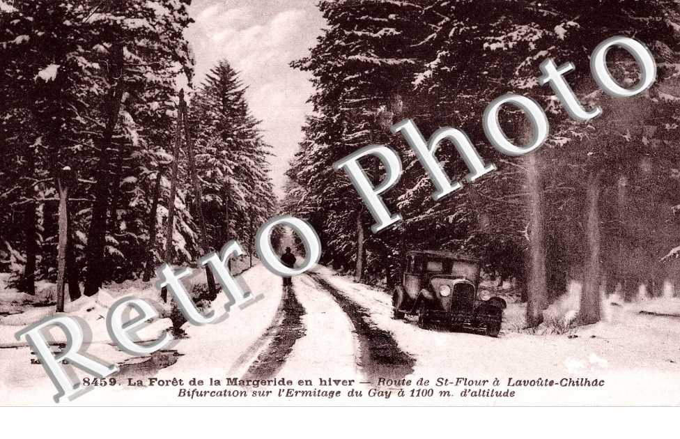 Foret de la Margueride en hiver