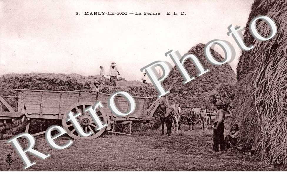 La Ferme