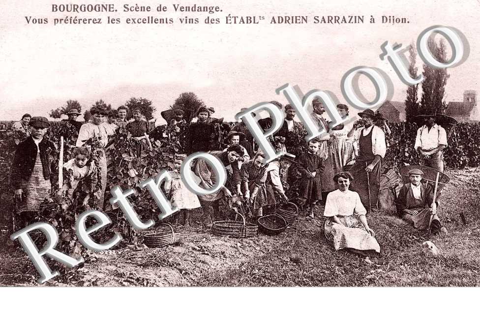 Scene de Vendange