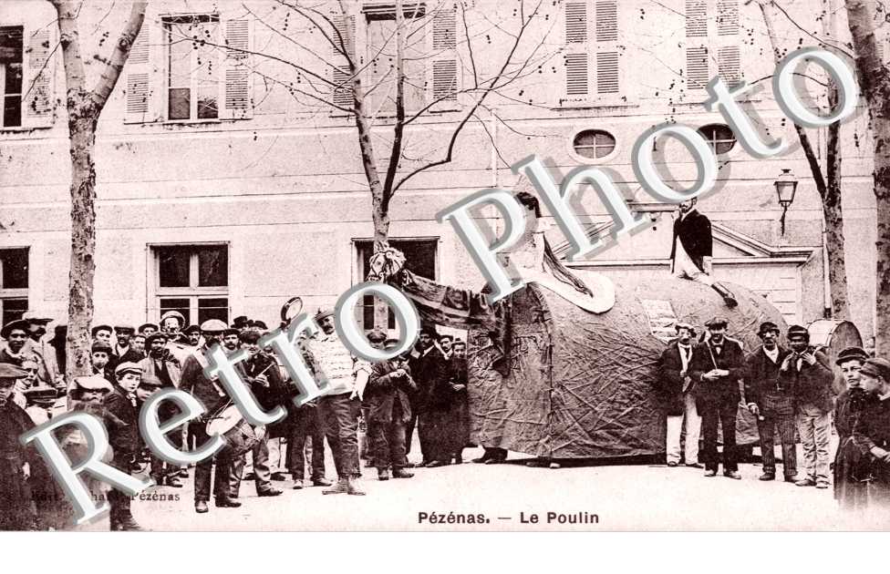 Le poulin