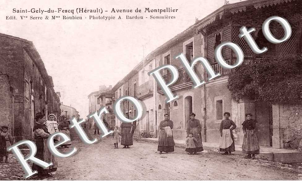 AVENUE DE MONTPELLIER