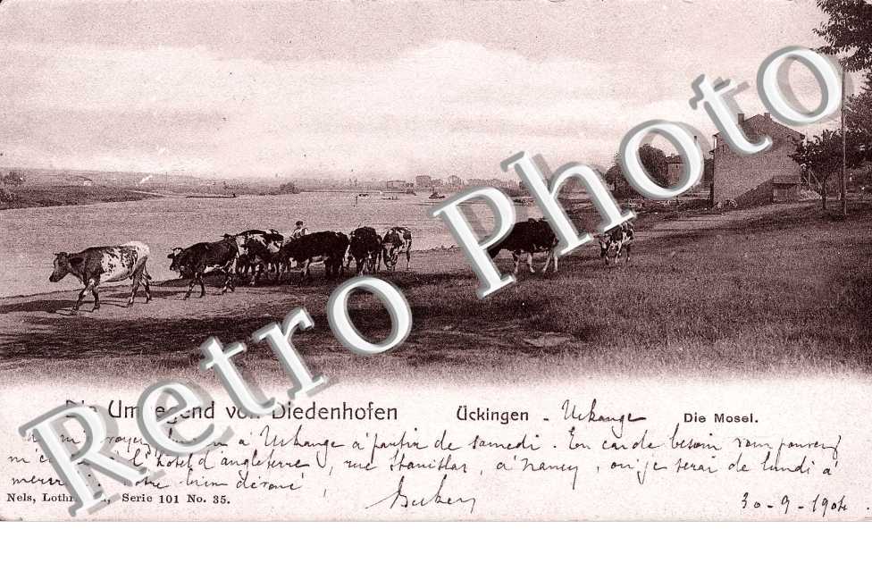 Die Mosel