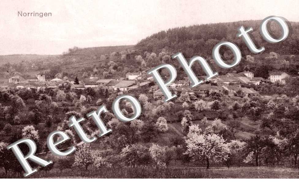 Vue Panoramique
