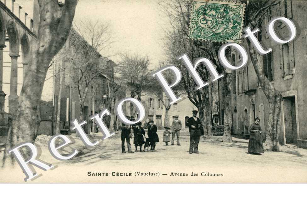 avenue des Colonnes