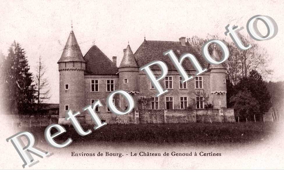 Le Chateau de Genoud