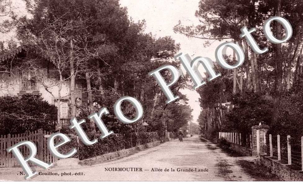 Allée de la Grande Lande