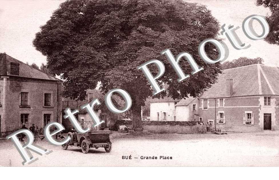 Grande Place (arbre)
