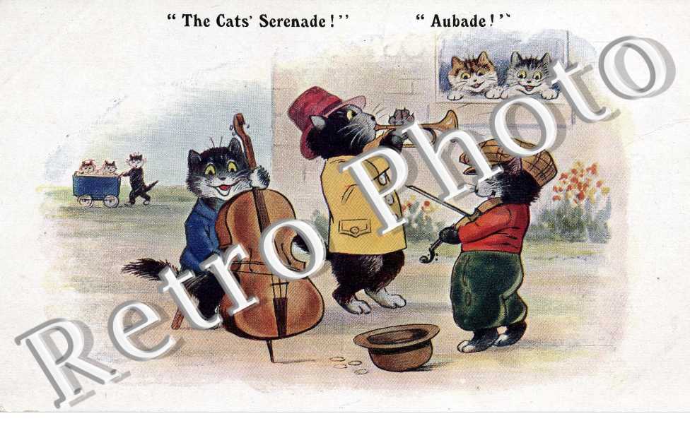 THE CAT'S SERENADE AUBADE