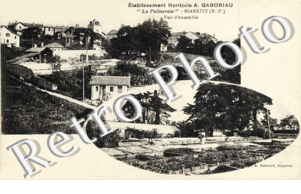etablissement horticole A. Gaboriau " La Palmeraie " vue d'ensemble