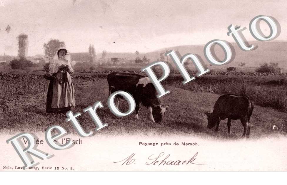 paysage pres de Mersch