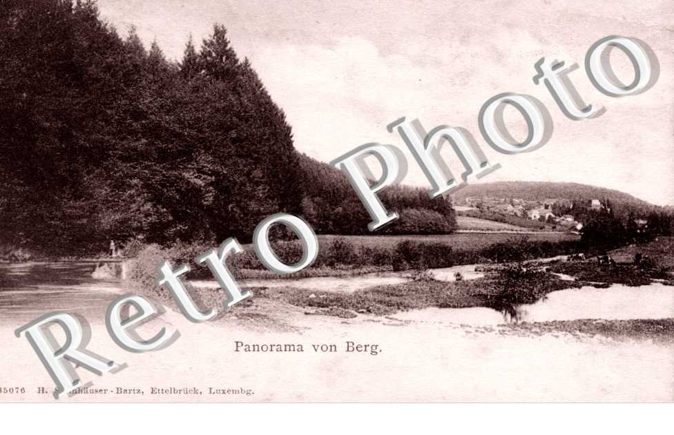 Panorama von Berg