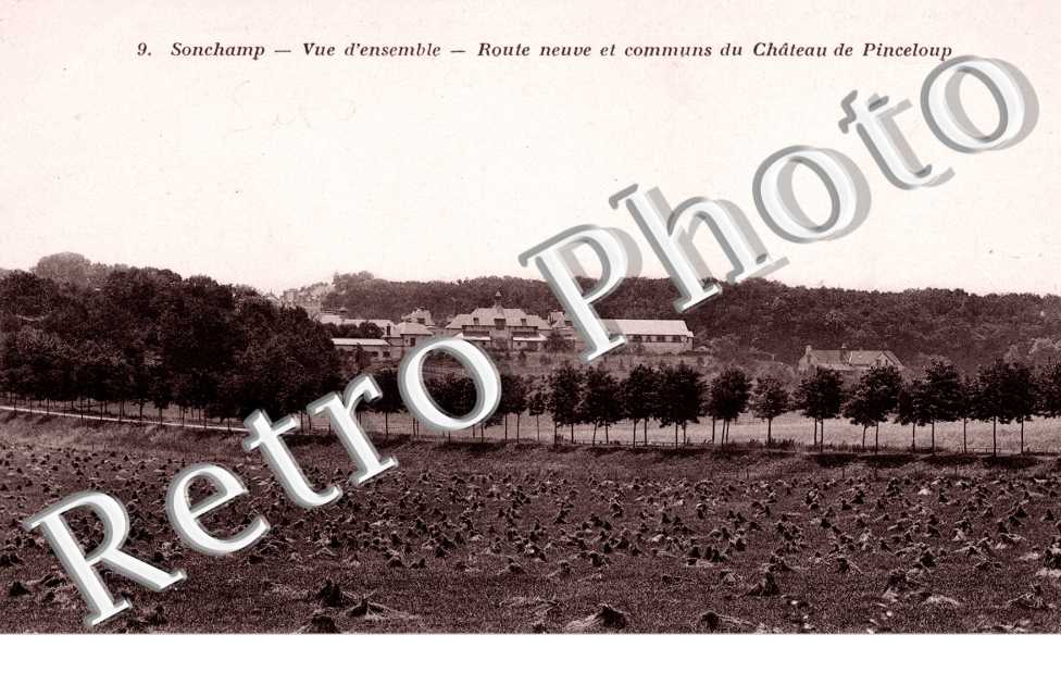 vue d'ensemble Route neuve et communs du chateau de Pinceloup