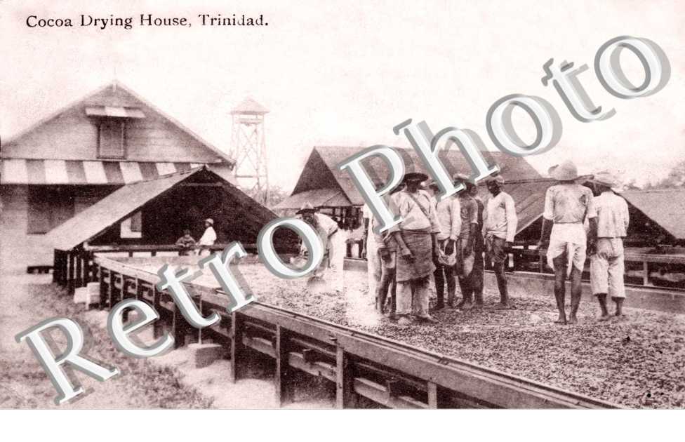 Cocoa Drying House