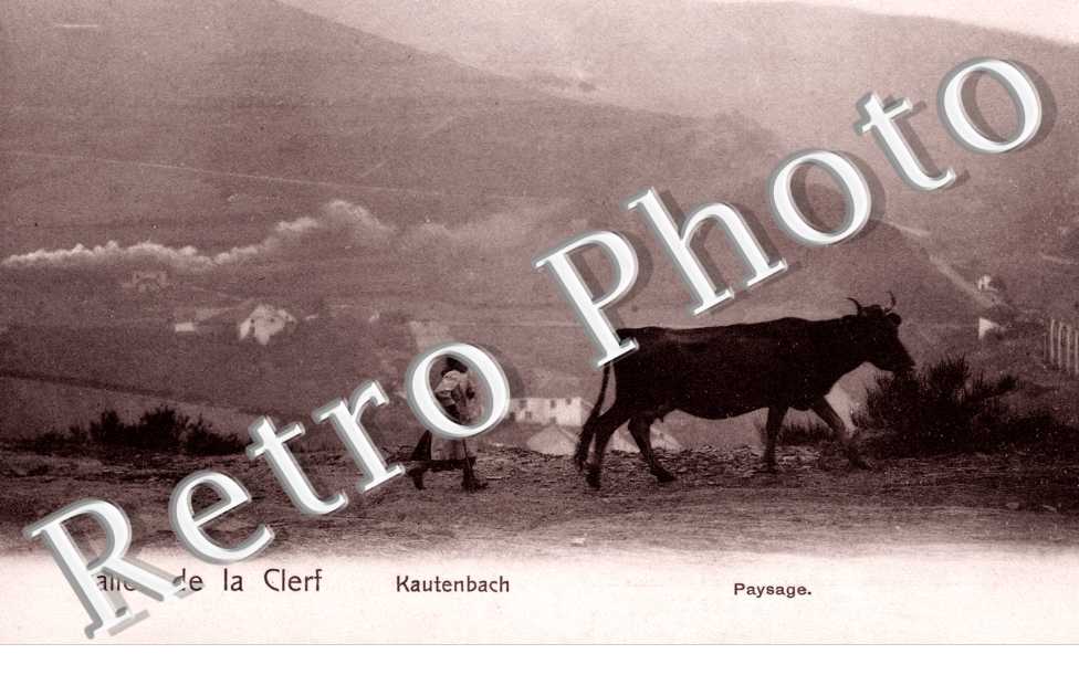 Vallee de la Clerf  Kautenbach Paysage