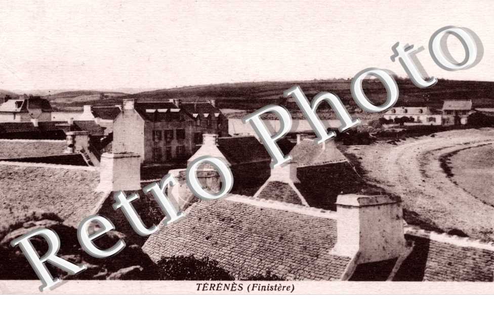 TERENES