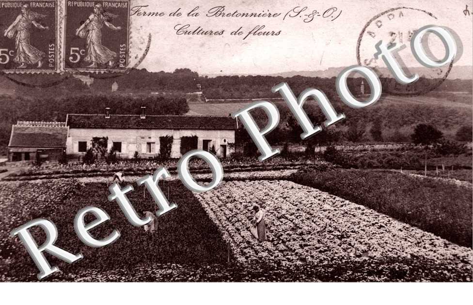 FERME DE LA BRETONNIERE  CULTURE DE FLEURS
