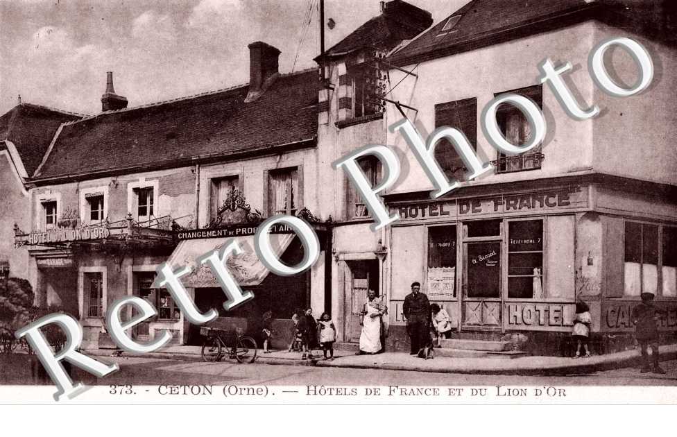 Hotels de France et du Lion d'Or