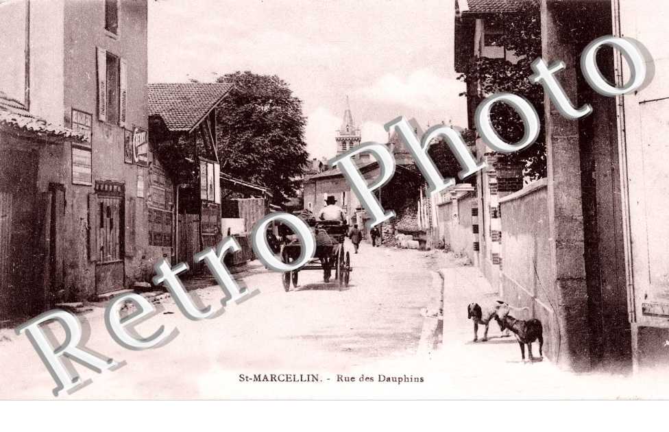rue des dauphins