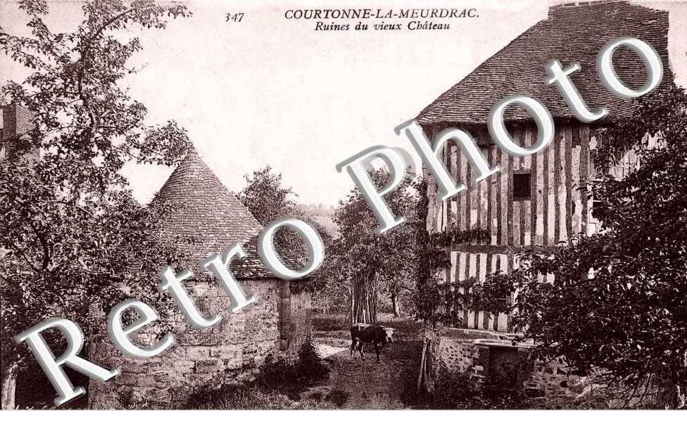 Ruines du vieux chateau