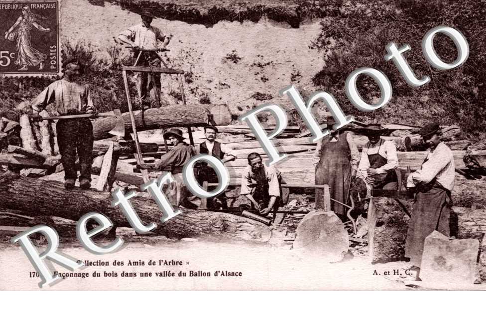 Faconnage du bois dans une vallee du Ballon d'Alsace