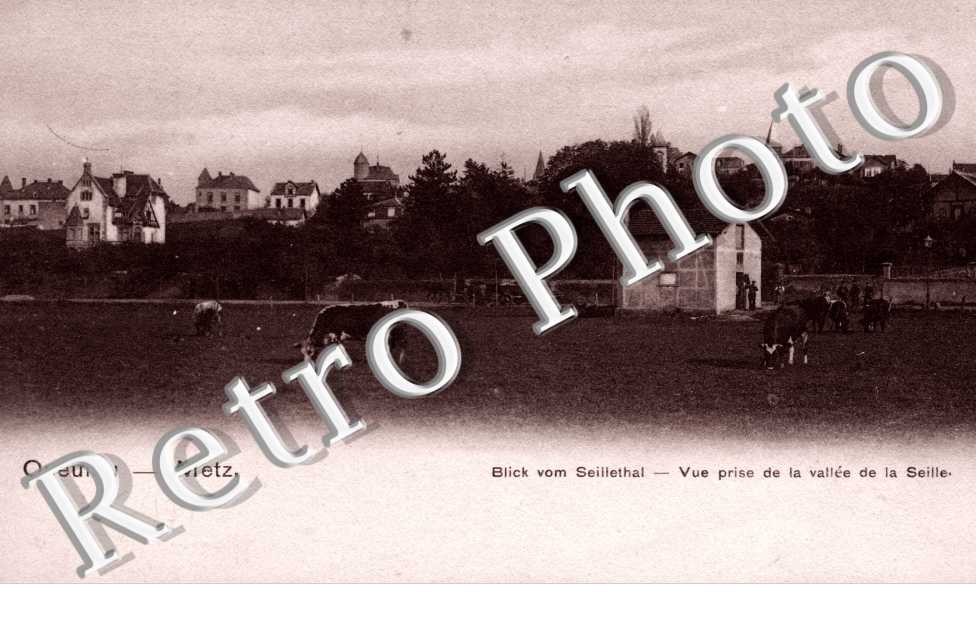vue prise de la vallee de la Seille