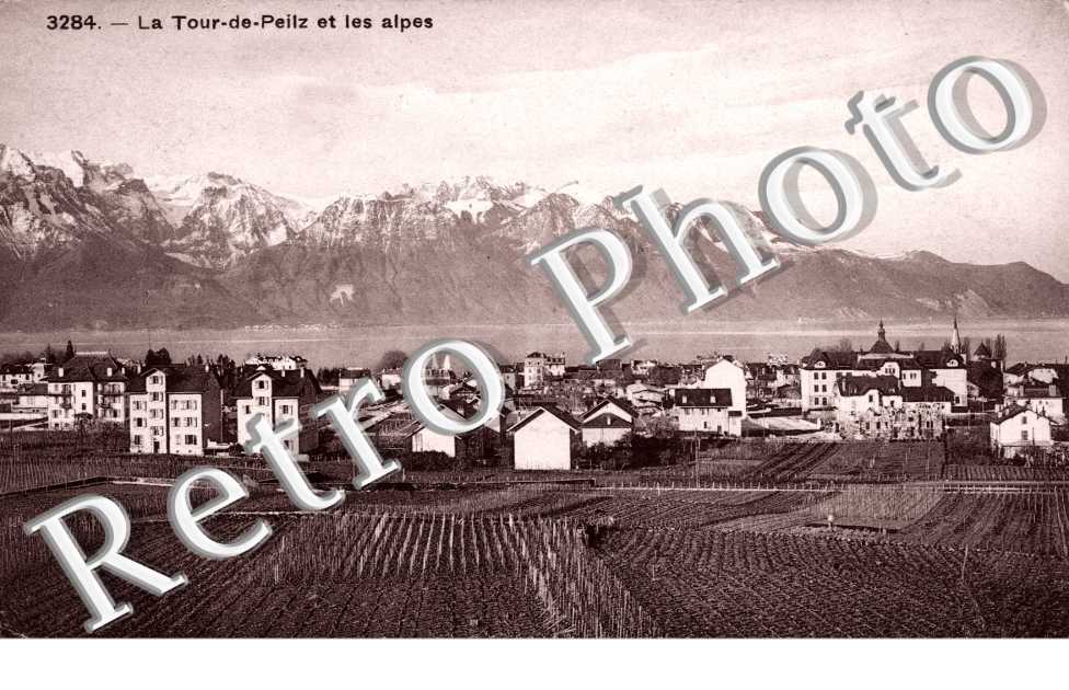 La Tour-de-Peilz et les Alpes