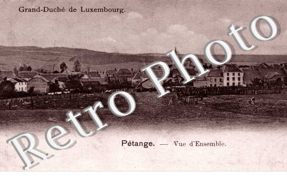 VUE D'ENSEMBLE