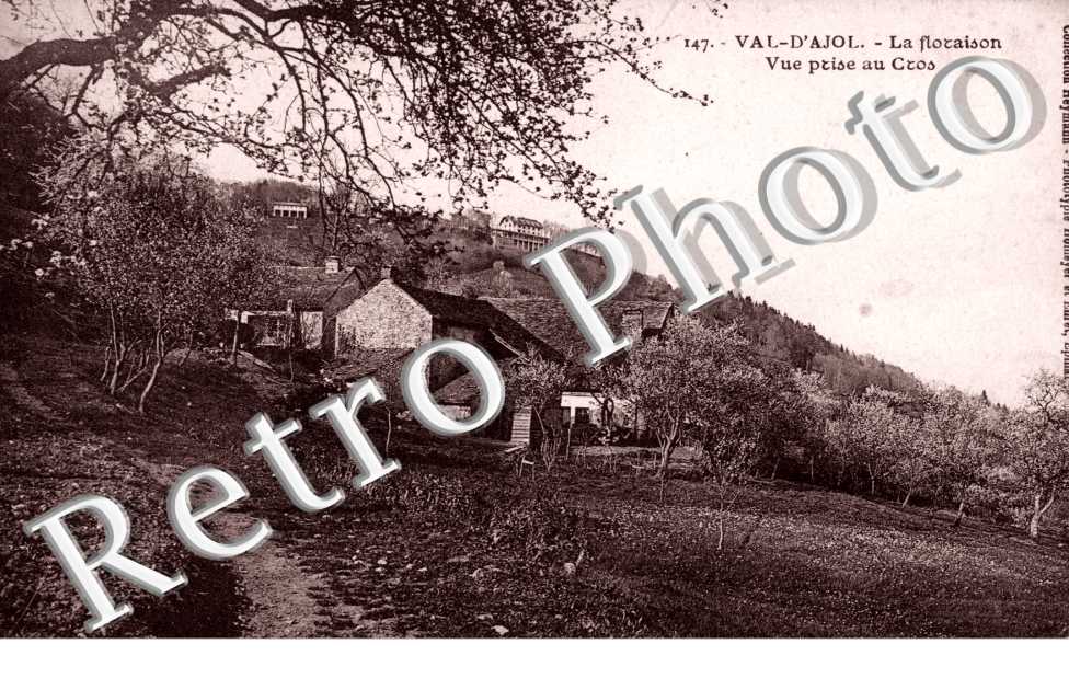 la floraison vue prise au cros