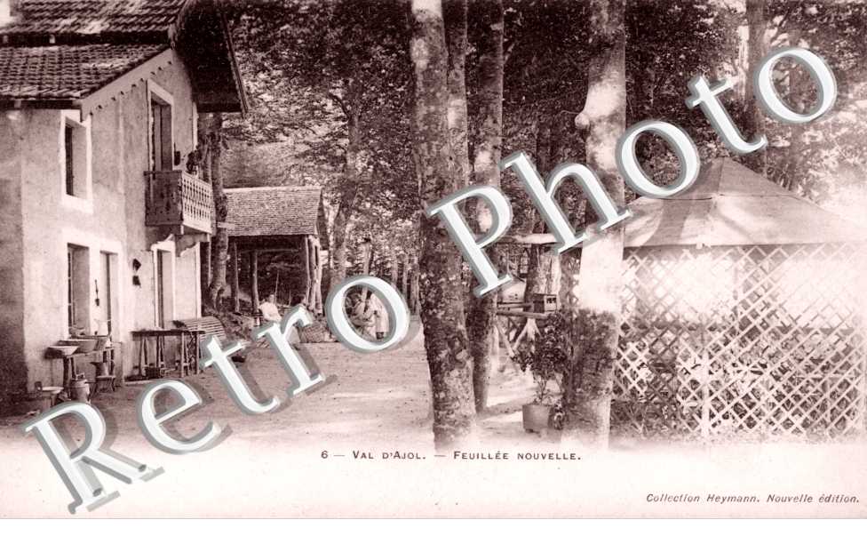 feuillee nouvelle