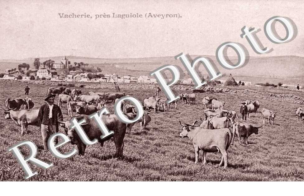 Vacherie