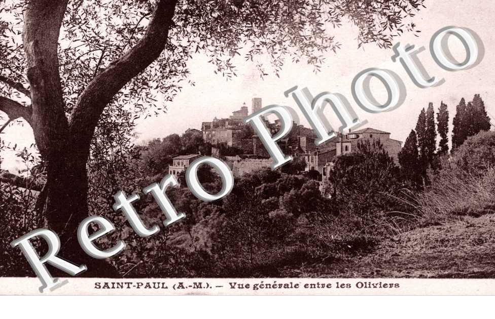Vue generale entre les oliviers