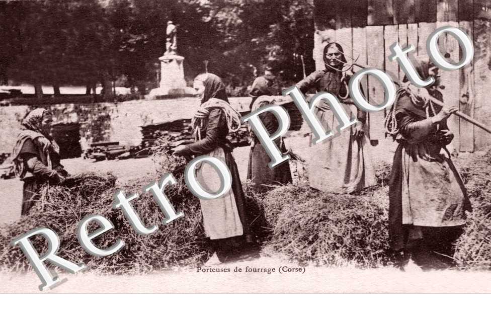 porteuses de fourrage