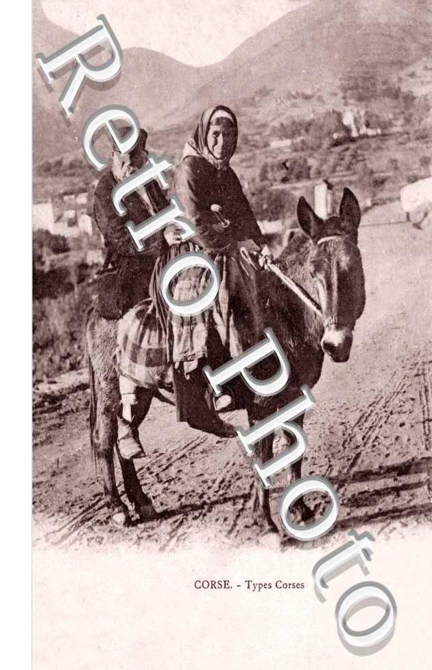 type corse