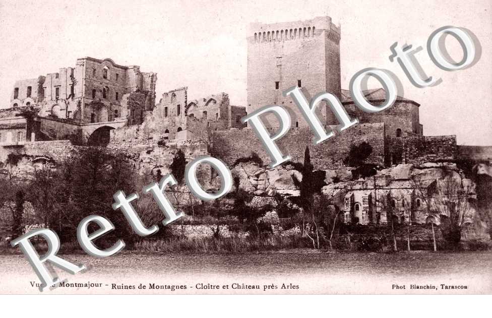 Vue de Montmajour, Ruines de Montagnes, Cloitre et Chateau pres d'Arles