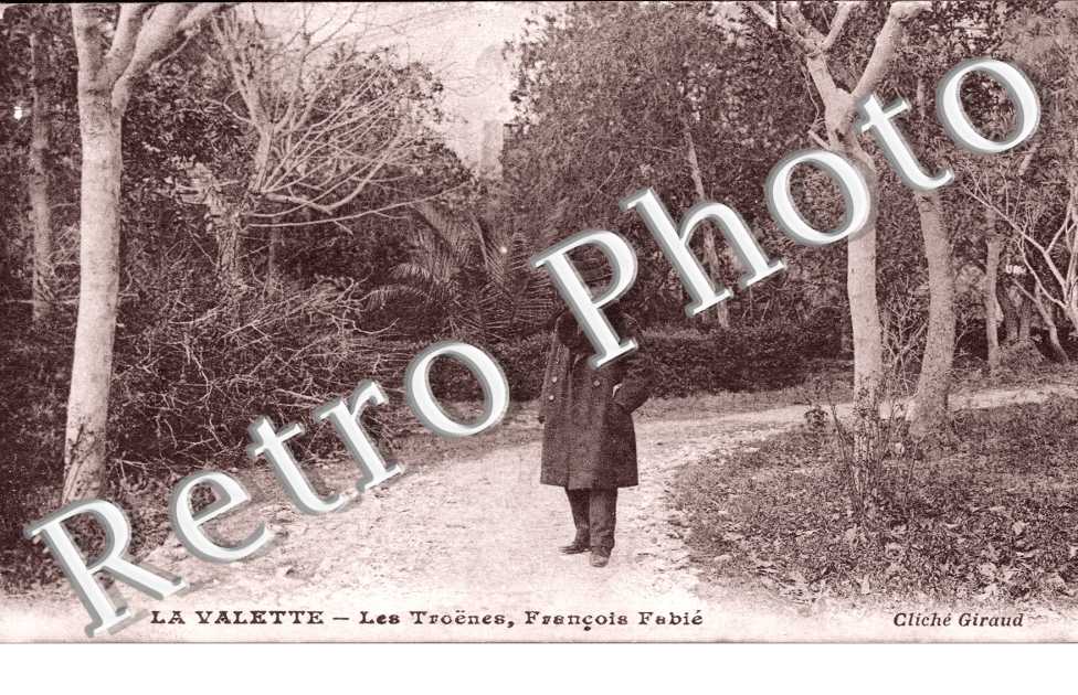  Les Troënes