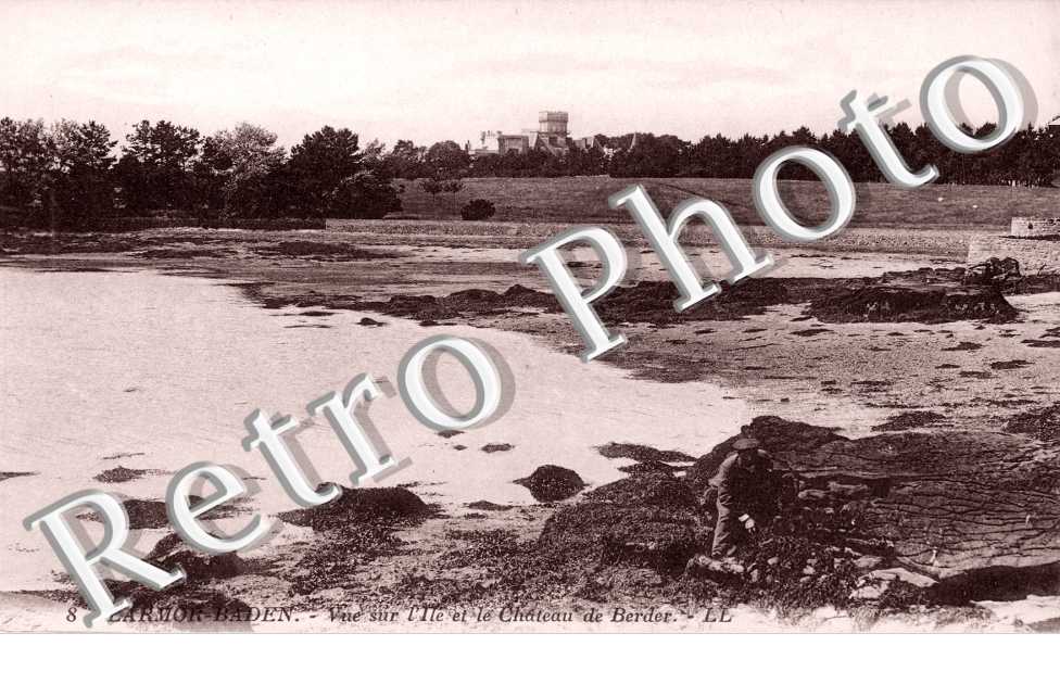 Vue sur l'Ile et le Château