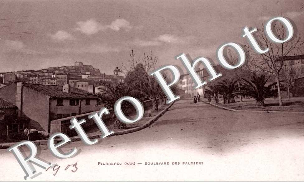 Boulevard des palmiers