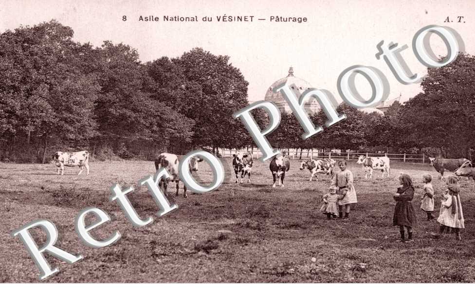 Asile National, Paturage