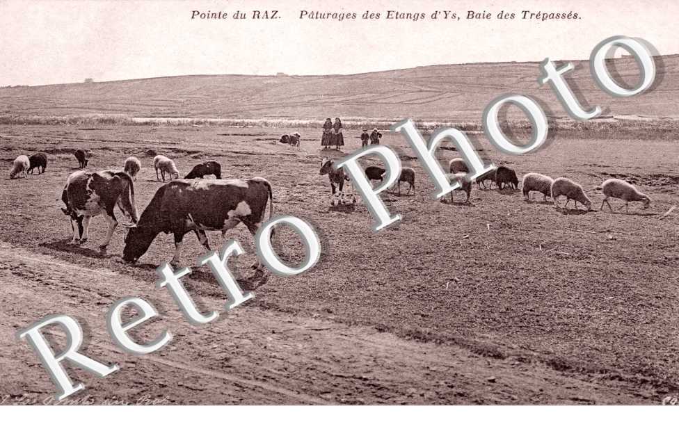 Paturages des Etangs d'Ys, Baie des Trepasses