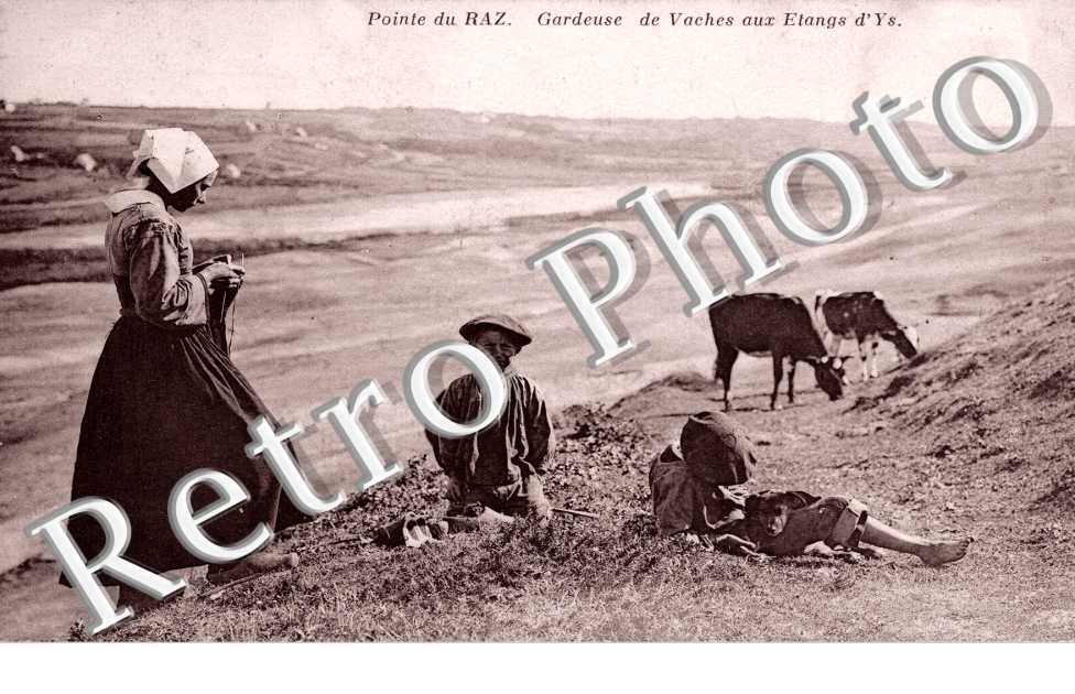 pointe du raz, gardeuse de vaches aux etangs d'Ys
