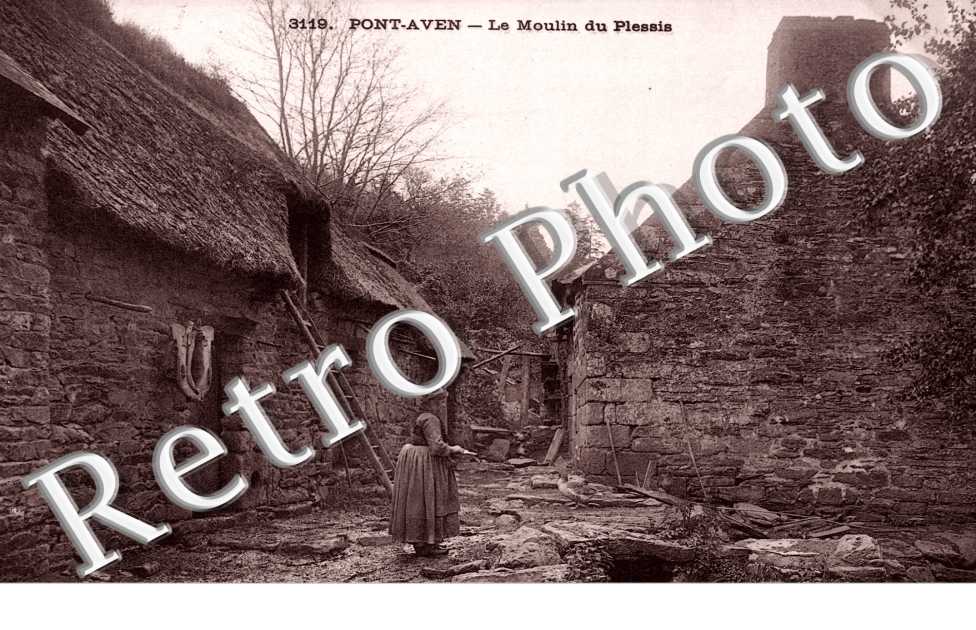 le Moulin du Plessis