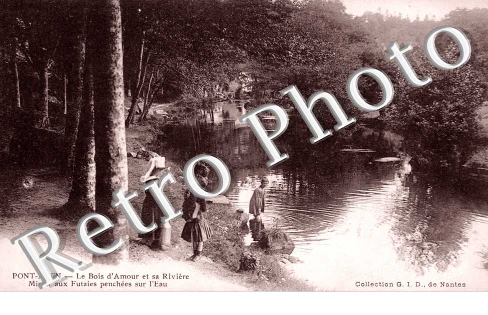le Bois d'Amour et sa Riviere, Miroir aux Futaies penchees sur l'eau