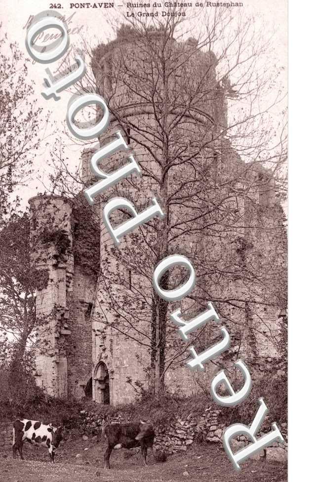 RUines du chateau de Rustephan