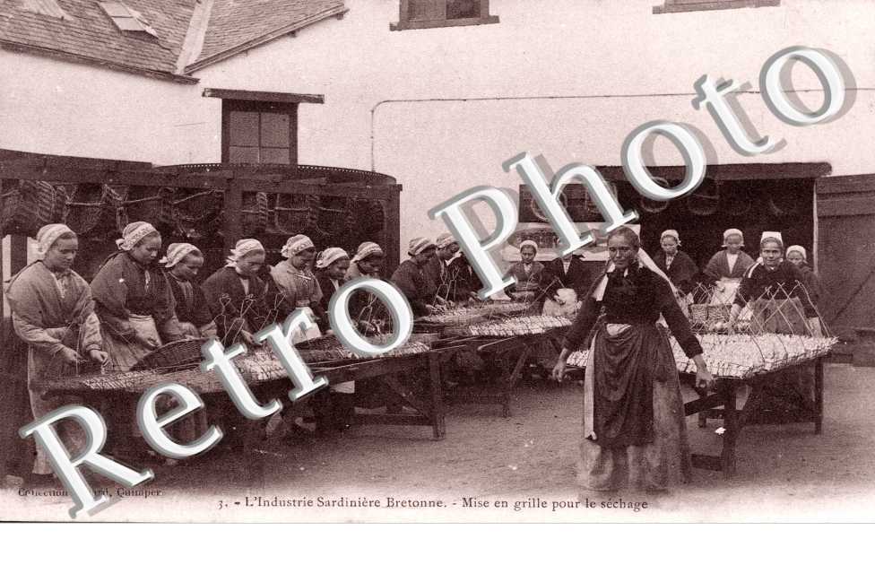 L'industrie sardinière Bretonne - Mise en grille pour le séchage